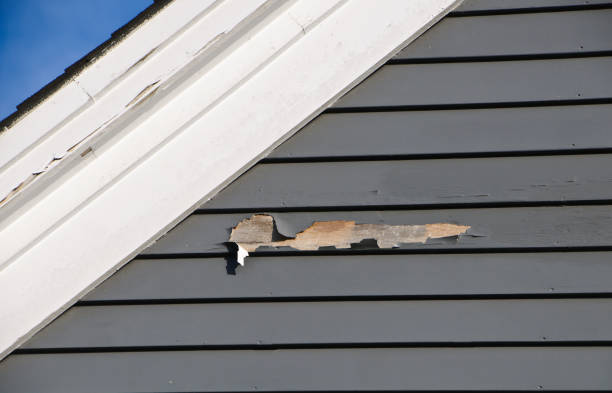 Affordable siding repair and maintenance services in Dale City, VA